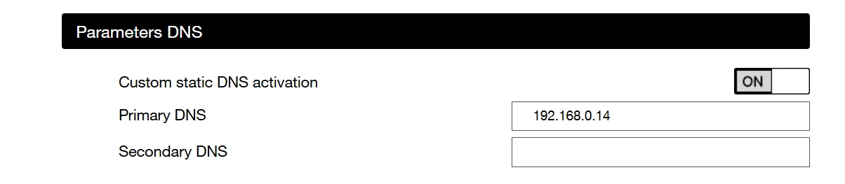 DNS settings in a router admin interface