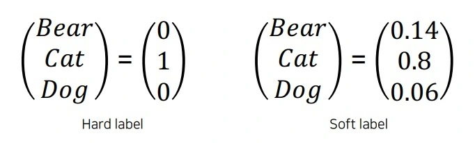 Example of soft labels showing nuanced probabilities